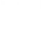 Legalizalia
